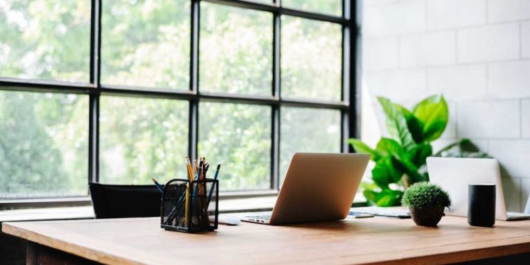 How to Make Your Business Official